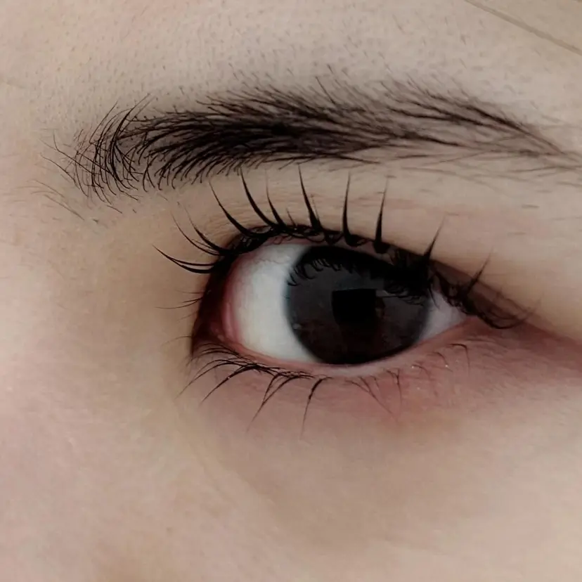 森継 加奈の掲載