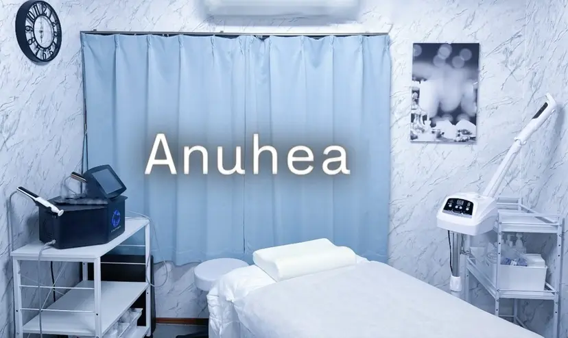 ニキビ・毛穴悩み改善 Anuheaの掲載