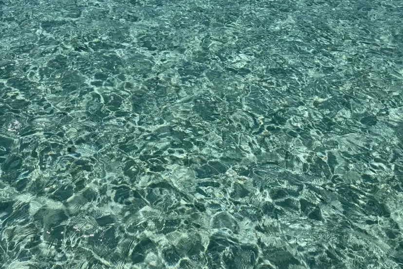 TANAKA FUKAの掲載