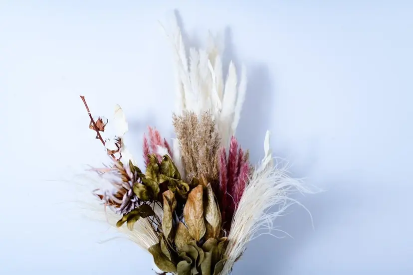 SAKASHITA KEIの掲載