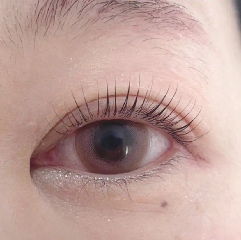 笹岡 真愛の掲載