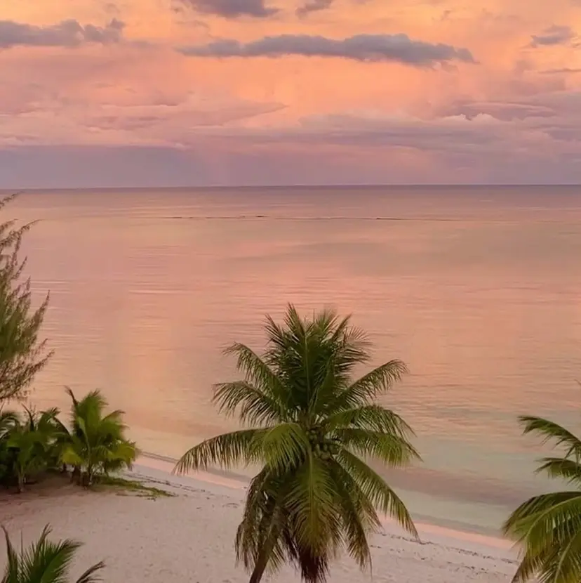 Norn 錦糸町店♡ 山田の掲載