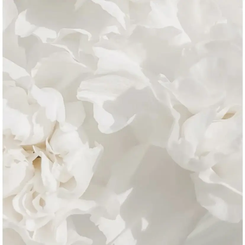 eyelash 森山の掲載