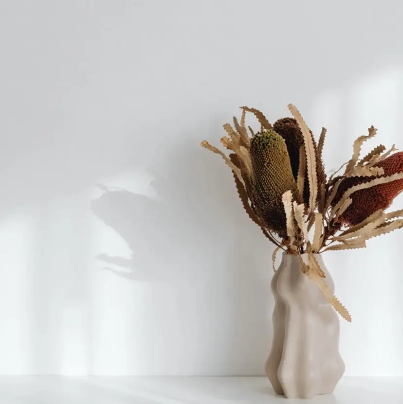 Relaxation Soleilの掲載