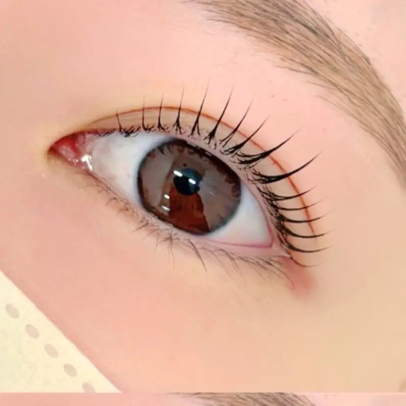 LCエルシー御器所店 【スクール】の掲載