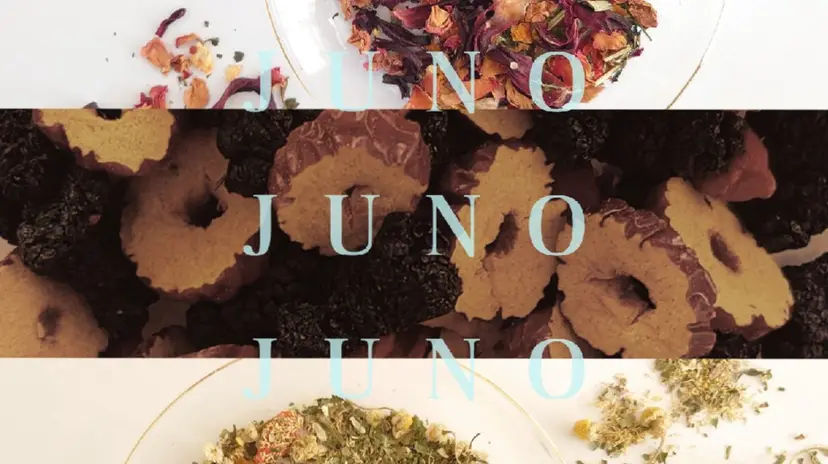 清水 侑花の掲載