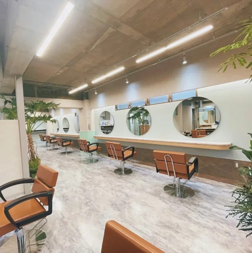 ひかり HAZELの掲載