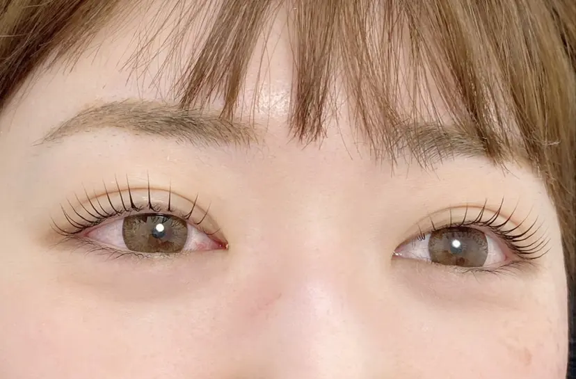 colors💐 《岐阜》の掲載