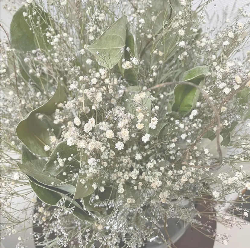 Moeil. /ﾓｲﾕの掲載