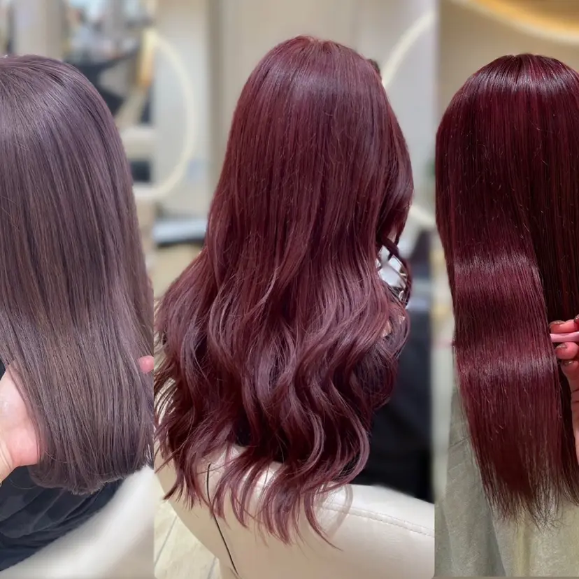 レイヤー/ハイライト /🩶HINAの掲載