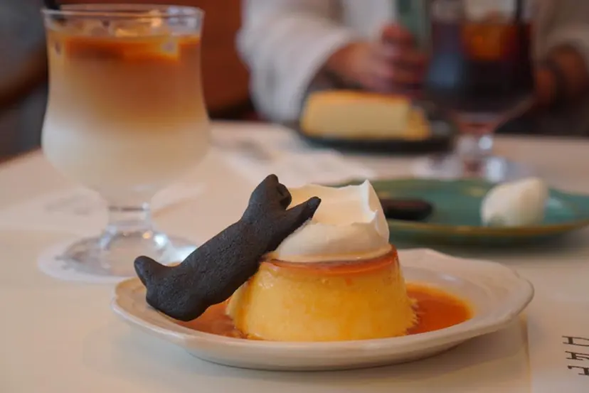 🫧 ハシヅメの掲載