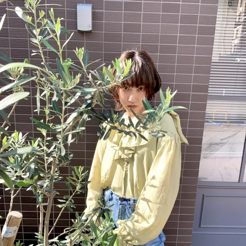 ノモト ハルの掲載