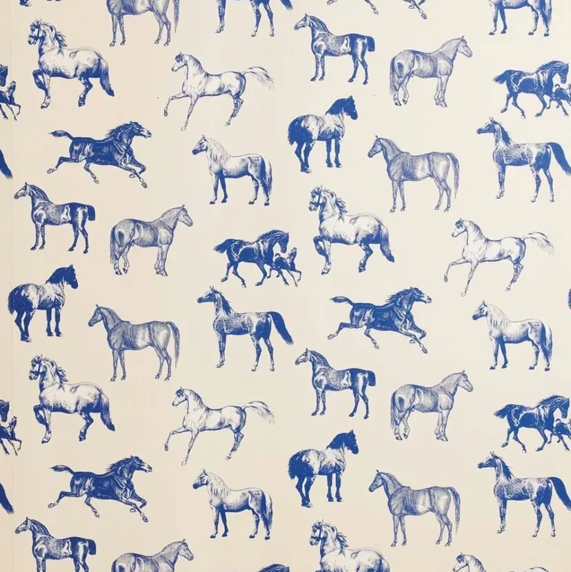 ROOM郡山店 / 助川 莉那の掲載