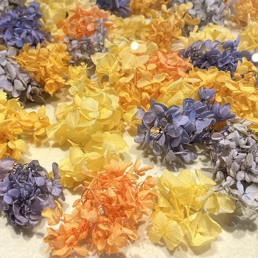 ネイルモデル募集中 LooP-kanaの掲載