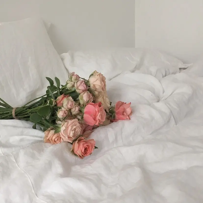 ꔫShimizu Harukaの掲載