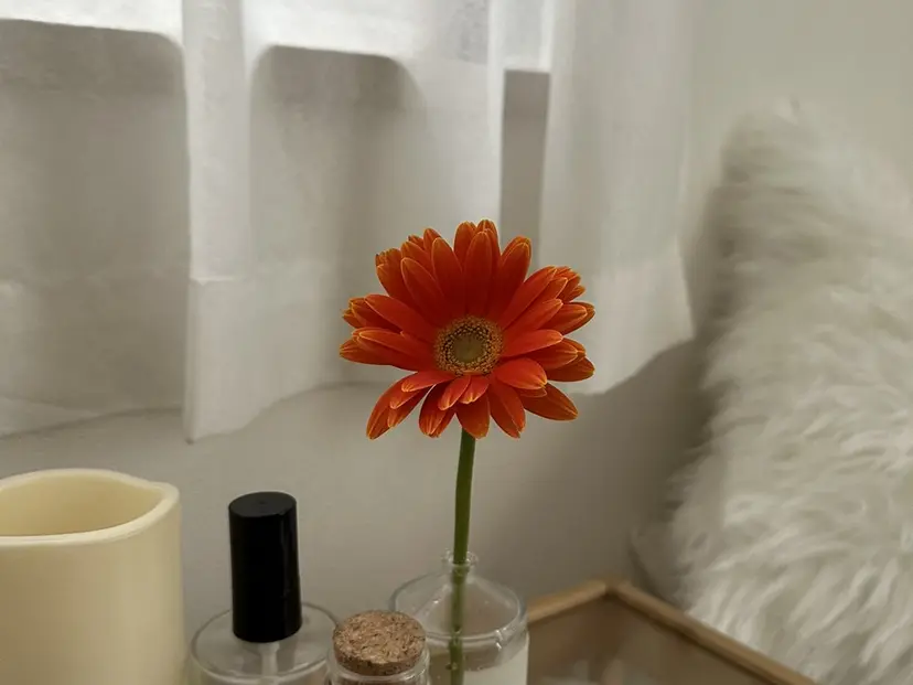 ひらい るなの掲載