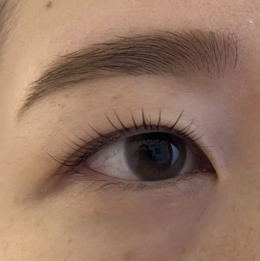 田中 美穂の掲載