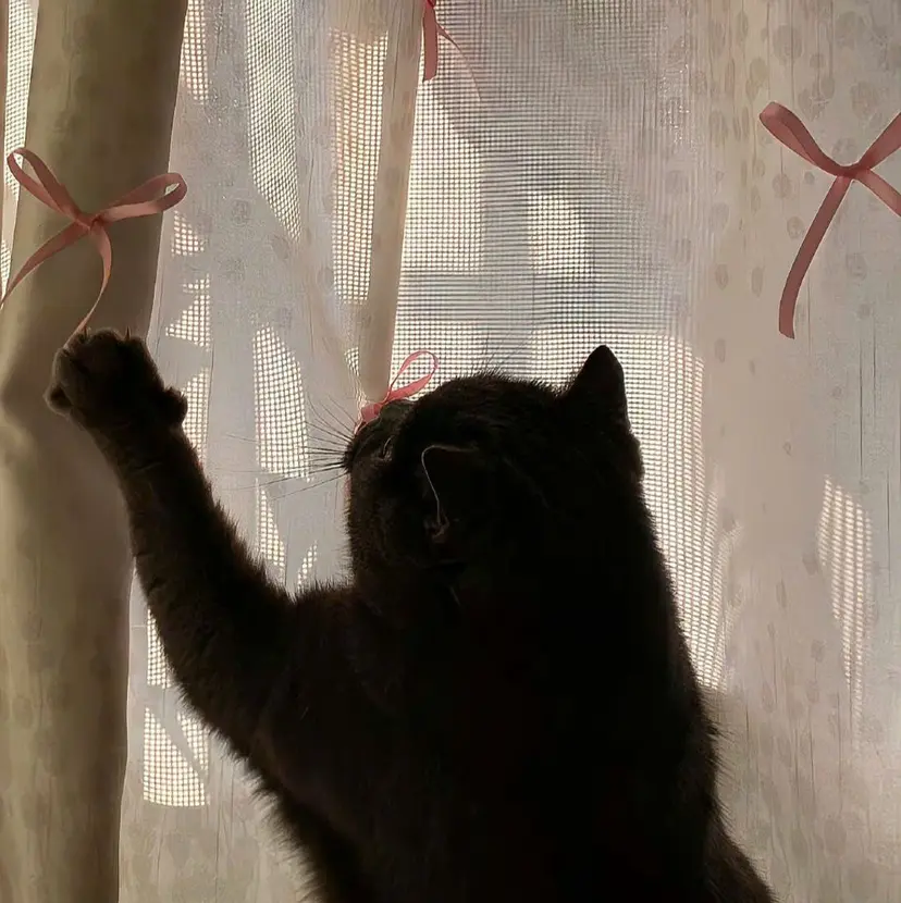 Kanae/束感 まつ毛エクステ♩の掲載