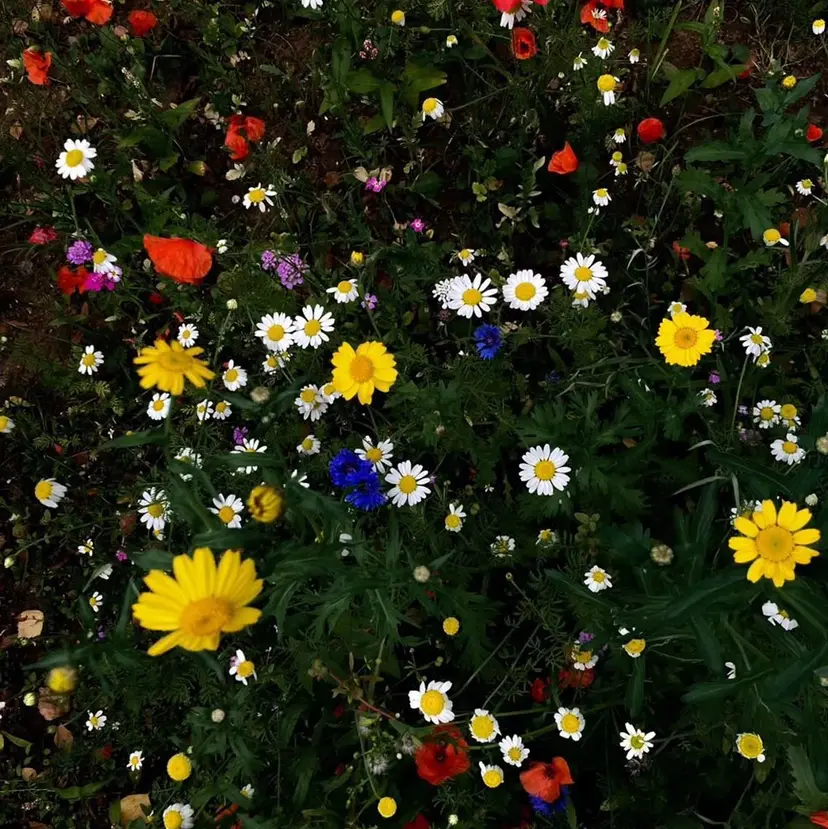 束感/マツパ ★Rion★の掲載