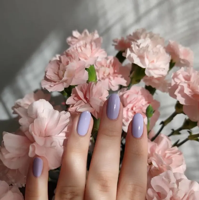 Orchid 加藤の掲載