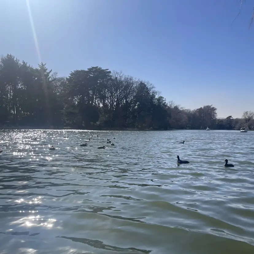 梅本 春菜の掲載