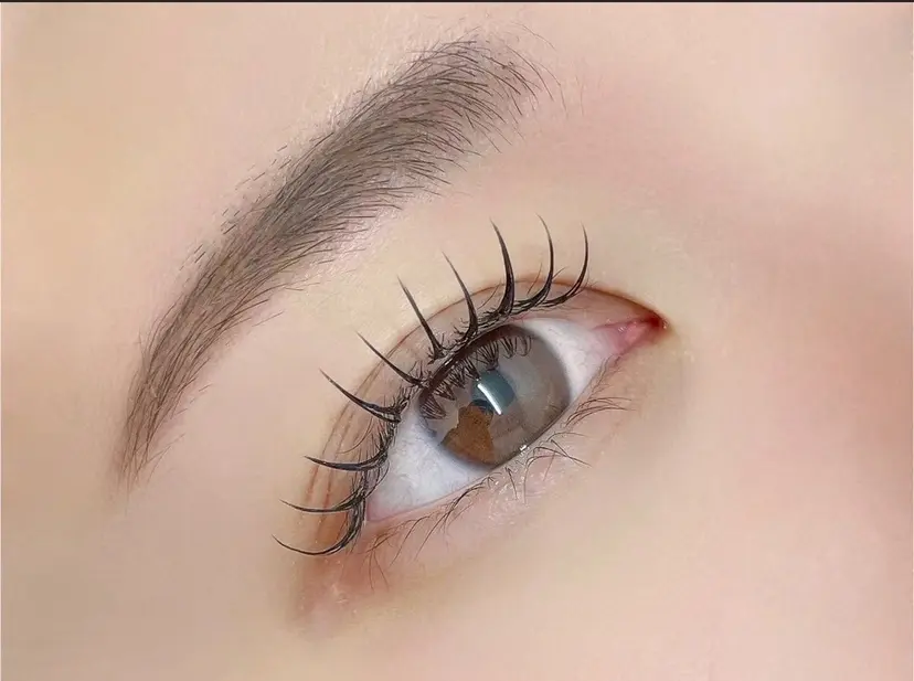 repos./ harunaの掲載