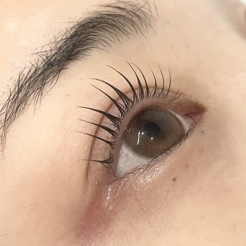 LAUREL Kanamiの掲載