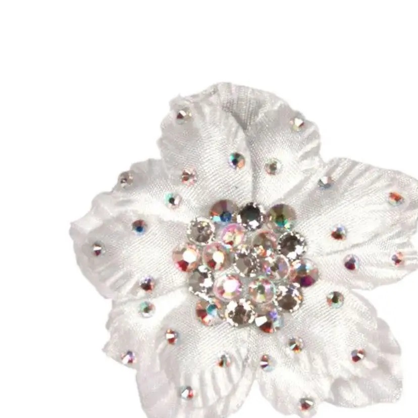 Elme/ IZUMIの掲載