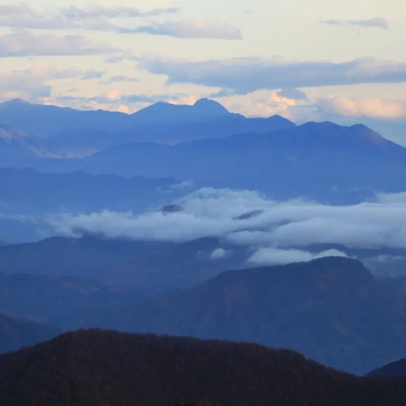 中谷 あずみの掲載