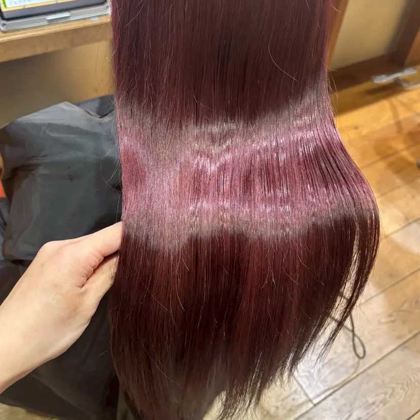 藤本 結羽の掲載