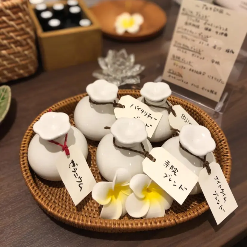 鈴木 知世の掲載