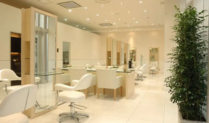 斉藤 紗香の掲載