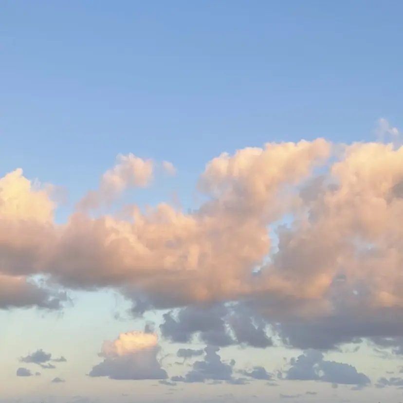 megumi /ヘアセット/メイクの掲載