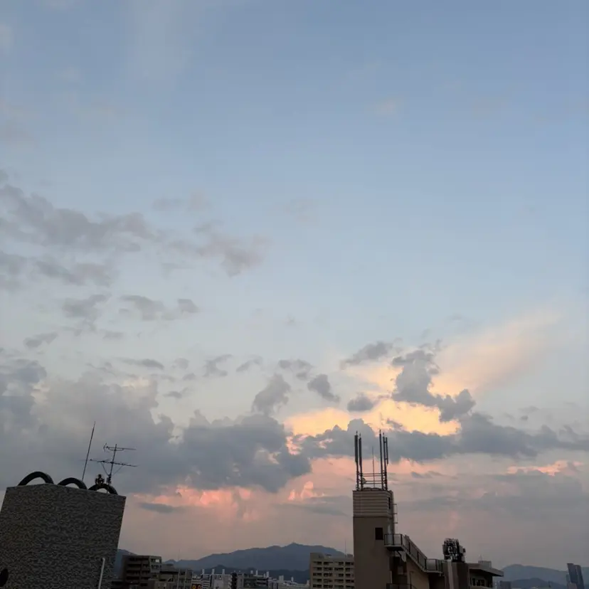 広島/ヘアセット /ベージュ/わかなの掲載