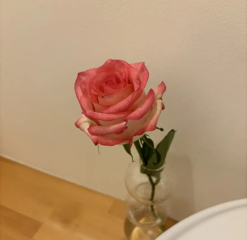 西銘 りほの掲載