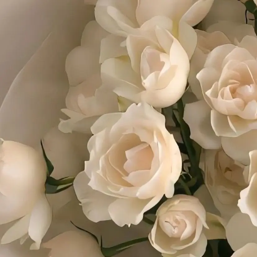 つかもと みことの掲載