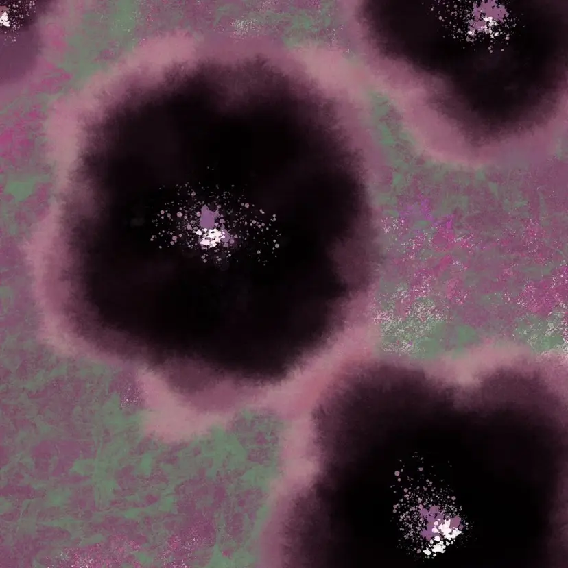 NATSUNO ✮の掲載