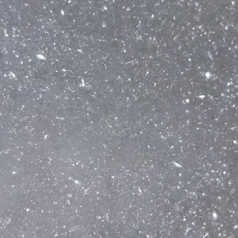 anna /国分寺の掲載