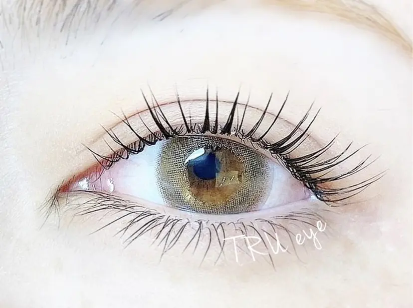 石田 にこの掲載