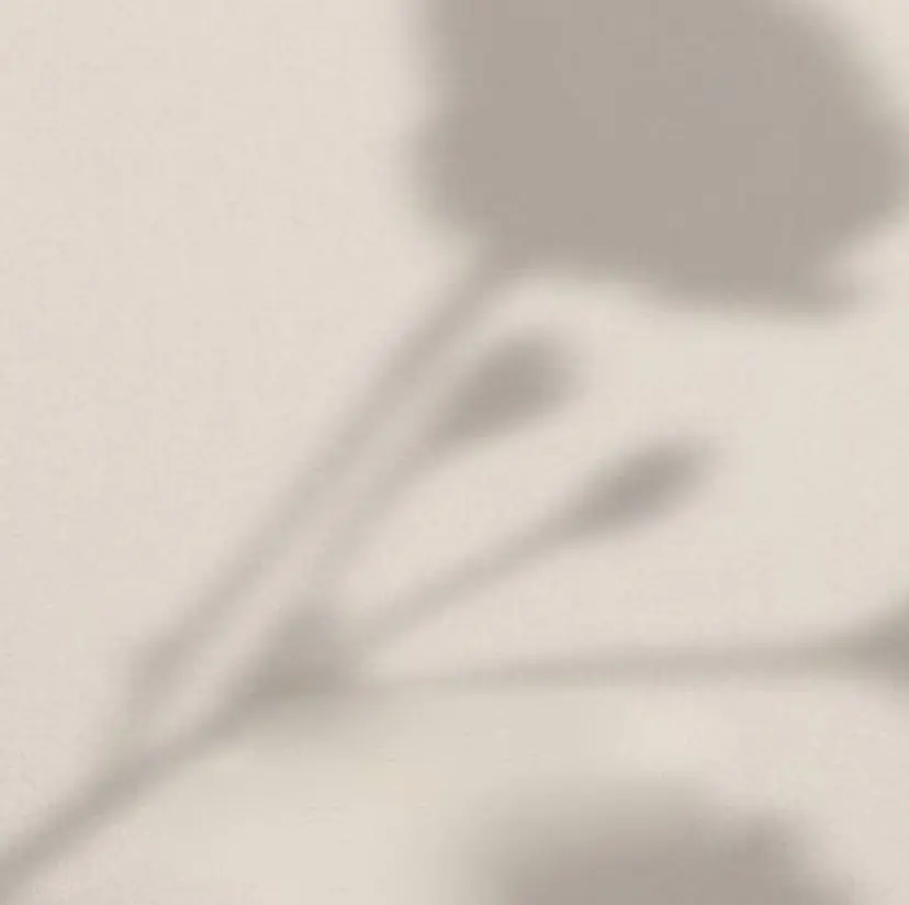 +me プラスミーの掲載