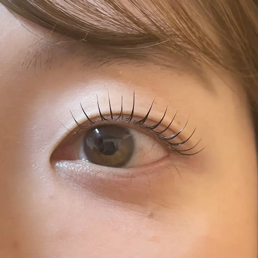 elblink sachiの掲載