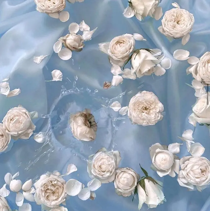 WHITE EYE ななみ🦋✨の掲載