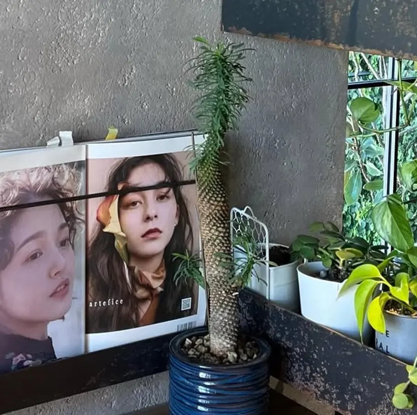 鳳美容室 /yurikaの掲載