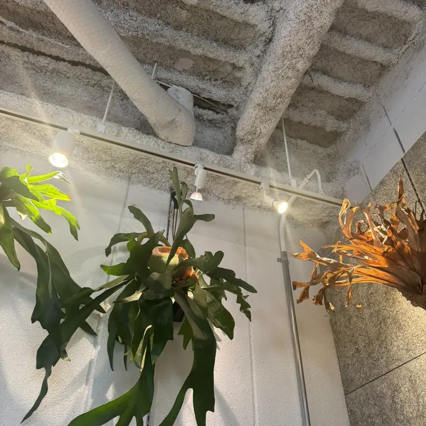 田辺 望乃の掲載