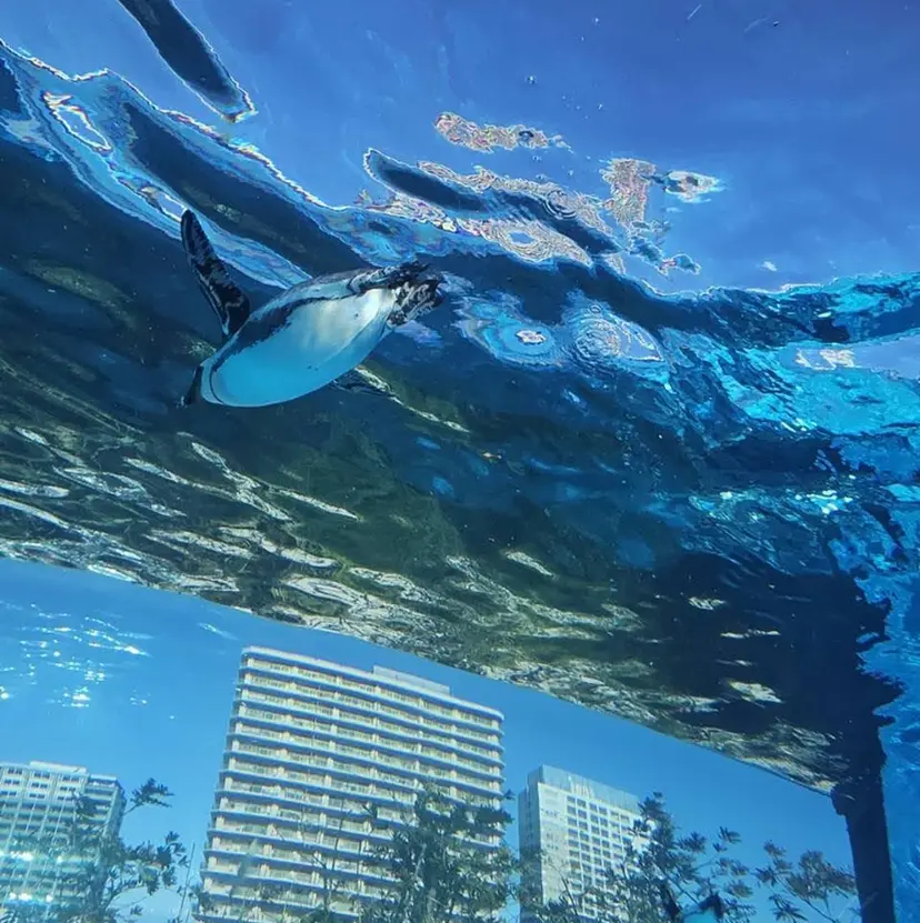 癒しのサロン Salveの掲載