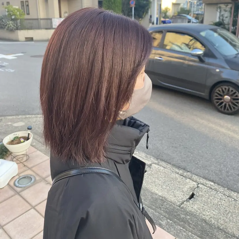 浅岡 二葉の掲載