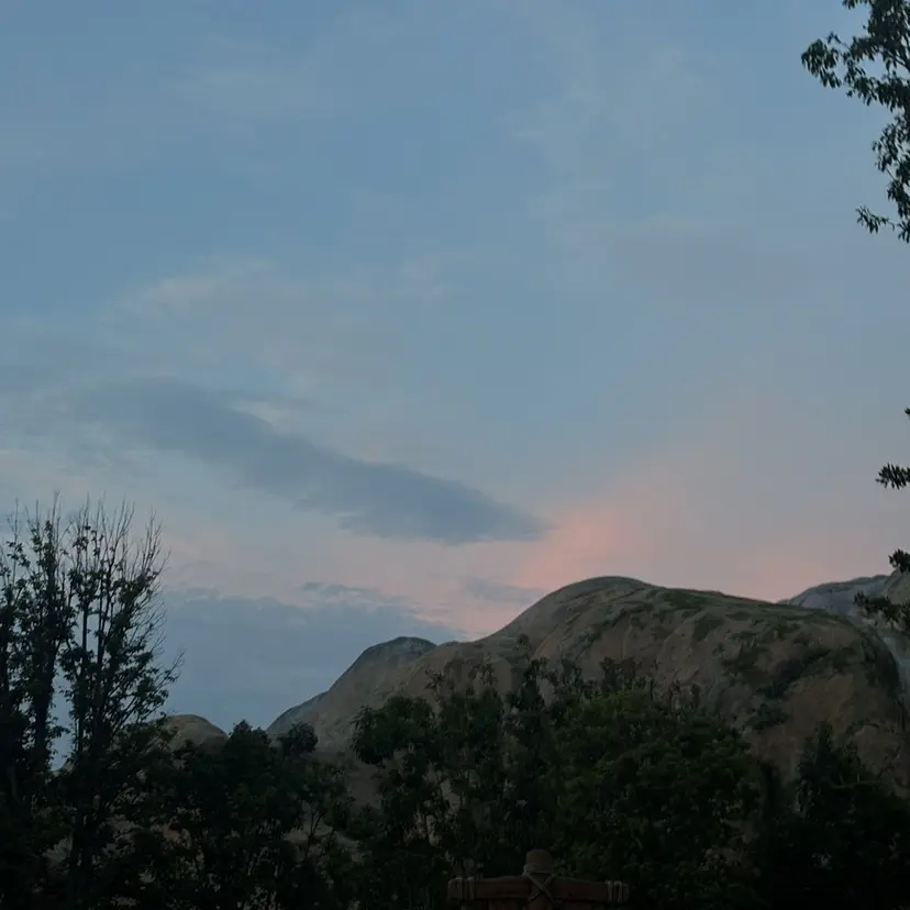 fifth 庄子愛彩の掲載