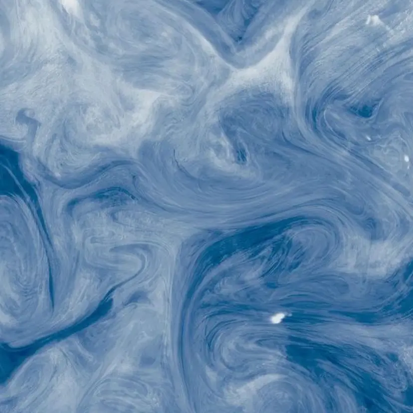 トイ ハルトの掲載