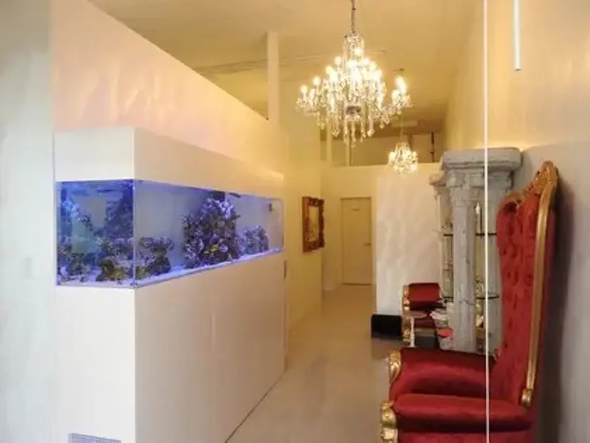 周藤 紅愛の掲載