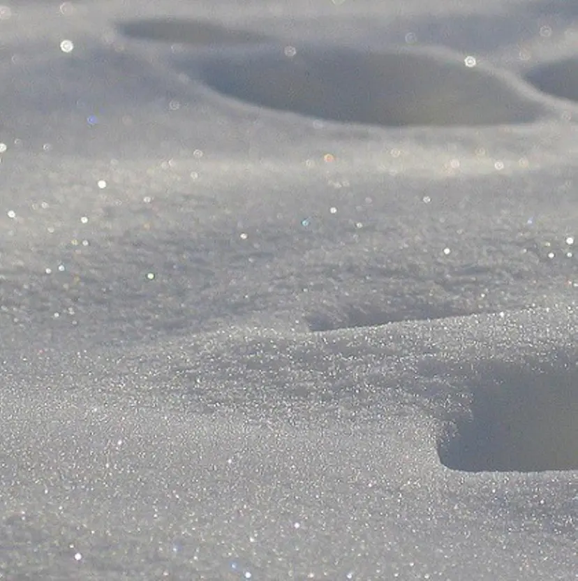 mayu🎀 持続力評価◎の掲載